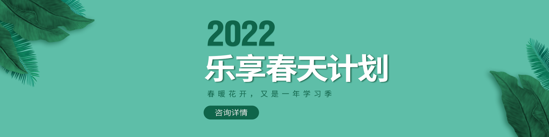 鸡巴网址视频